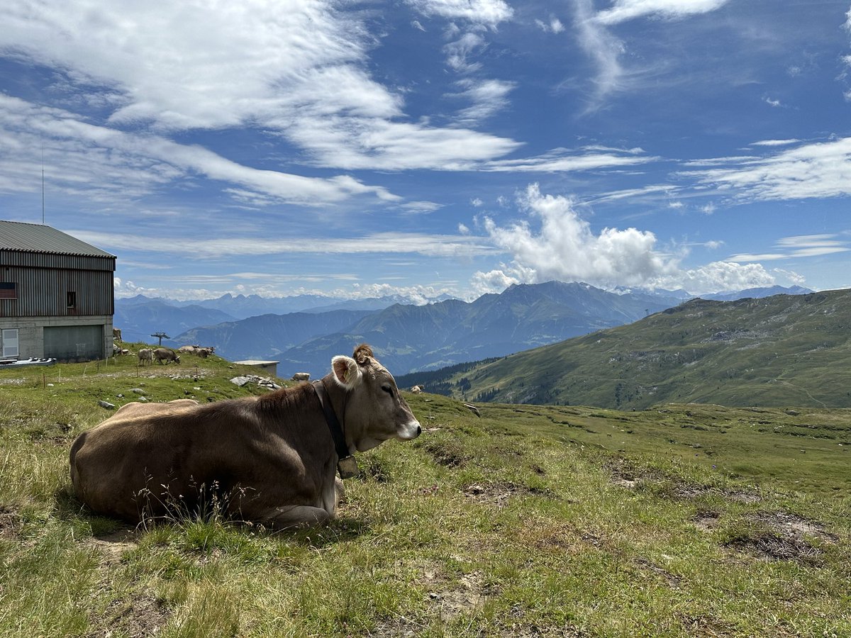baz_shk's tweet photo. Hello from the Swiss Alps. https://t.co/Lq5W32vePN