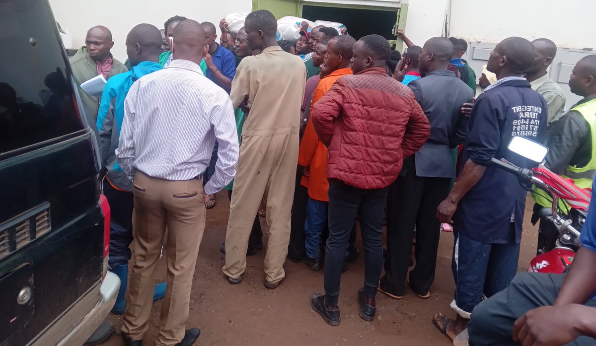 TaddewoS's tweet photo. There are two places a serious farmer will not avoid in Kampala (Uganda); Container Village and Shauriyako. Yesterday,  I was at the former and people were seriously shopping seeds for the upcoming season.  Good maize seeds/ varieties are scarce at the moment.  1/2 https://t.co/UgwlCdWTm5