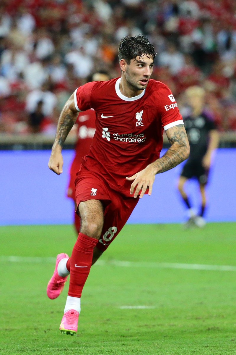 Bence Bocsák tweet media