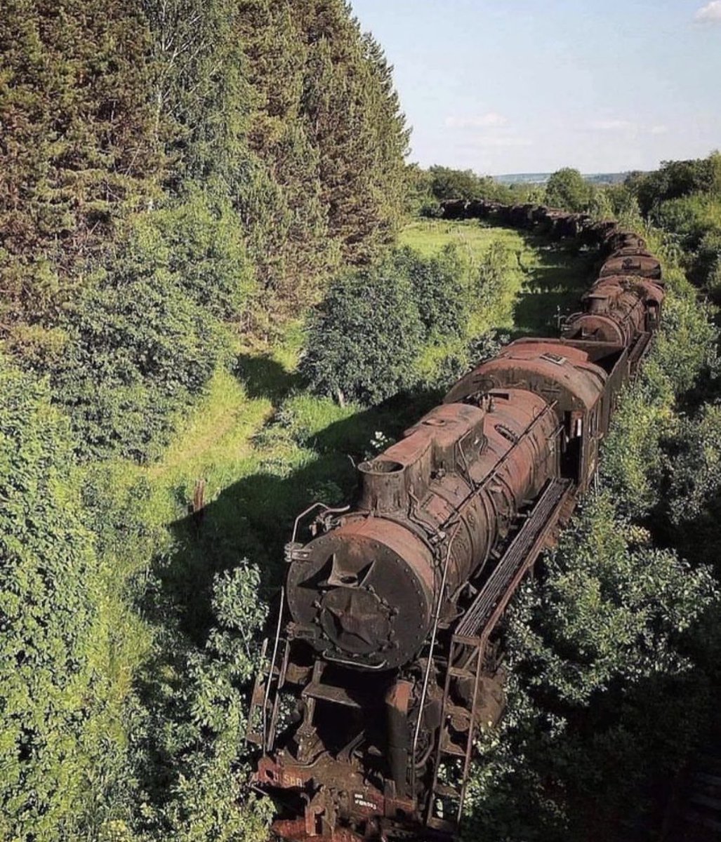In Russia, during the Cold War, hundreds of old steam-engine trains were strategically parked on old tracks as a contingency plan in case the Russian electric grid faced any disruptions. The central Perm region of Russia is home to a unique sight - a train cemetery filled with…
