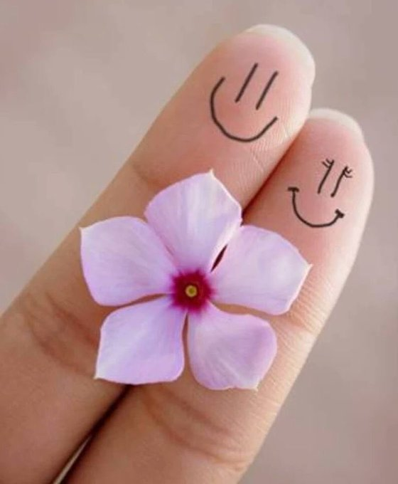 JadaNuh's tweet photo. ...♥️~

      #الإحتـواء فَـن لا يتقنُـه إلاحڪَيم  
       والاهتمـام حُـب لا يَهبُـه إلاصـآدق..✨
.
..
...
                         #صبـَاح_الخيّـر..♥️ https://t.co/xD19SMG22D