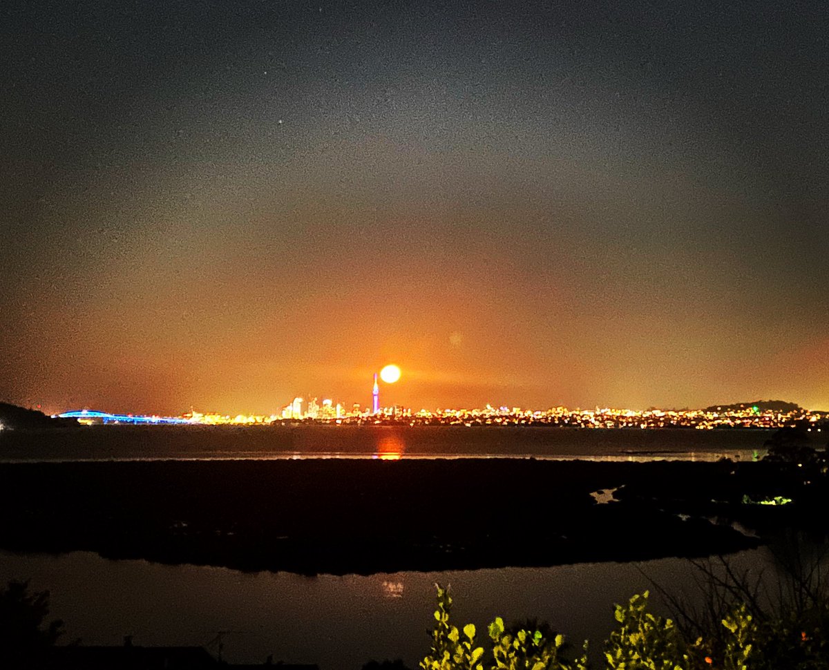 ClarkChef's tweet image. What a crazy sight #awesomeauckland