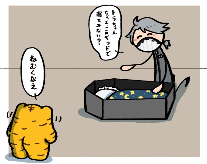 納棺師にベッドを作ってもらったトラちゃん