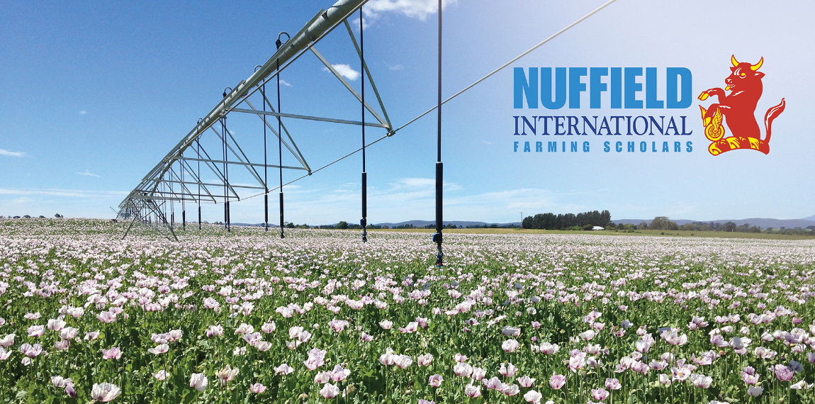 Nuffield Scholarship applications are now open to those involved in food & fibre production. It’s a unique opportunity to gain knowledge, form business friendships, and bring new ideas home. More at 👉 nuffieldinternational.org @NuffieldInt #nuffieldag #futurefarmers #youthinag