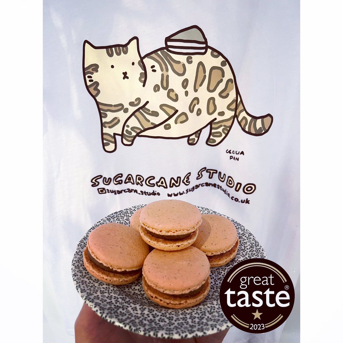 Sugarcane Studio tweet media