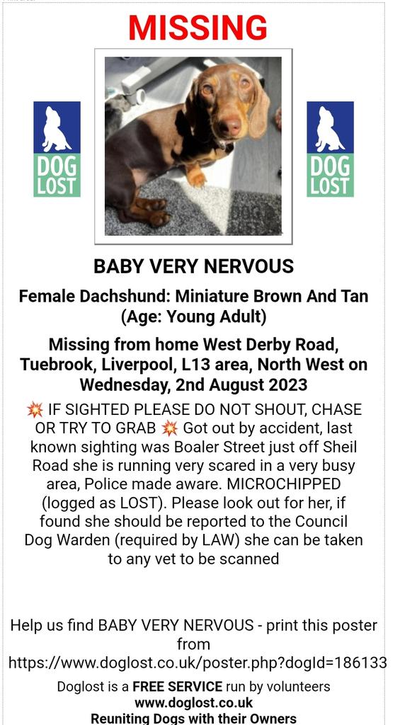 MissingPetsGB's tweet photo. BABY VERY NERVOUS #Dachshund #missing from
West Derby Road #Tuebrook #Liverpool #L13 2 Aug 2023
IF SIGHTED DO NOT SHOUT, CHASE OR TRY TO GRAB
She got out by accident &amp;
she is running scared in a very busy area, Police aware. MICROCHIPPED (logged as LOST) https://t.co/MJ6K6cVxsD https://t.co/fEvNDhI9PQ