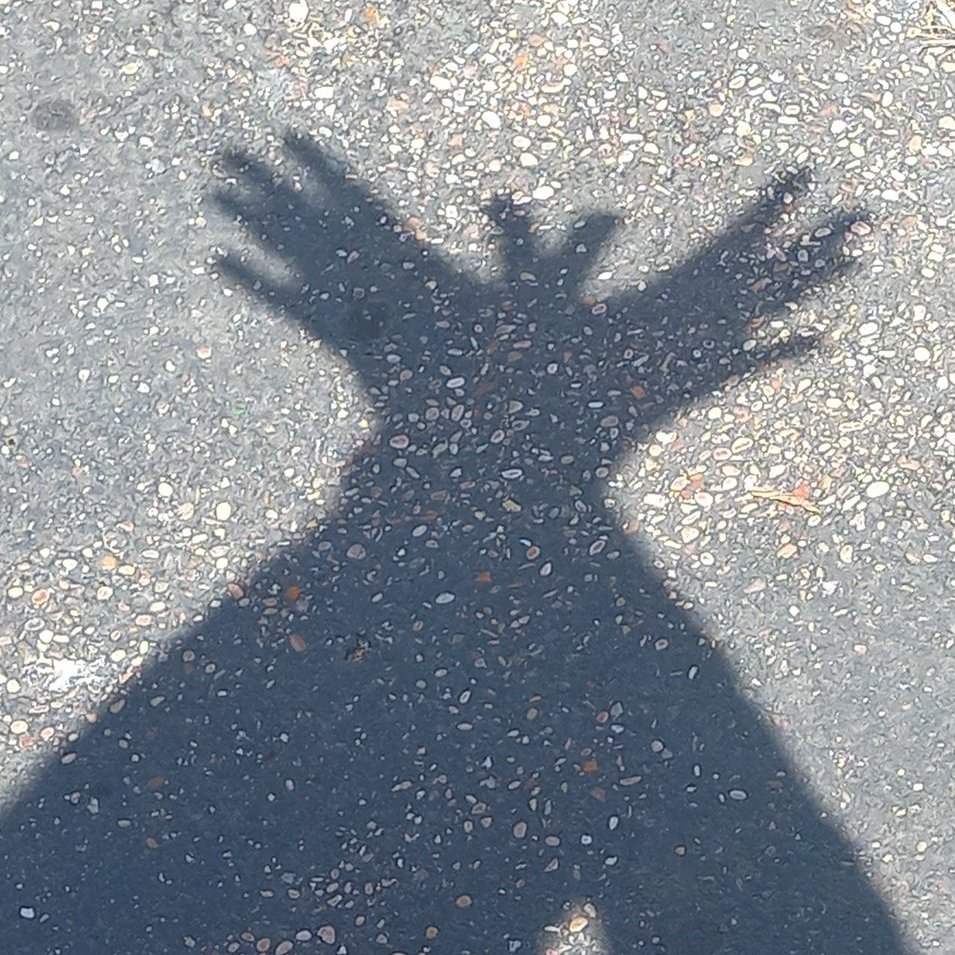 EduardHabsburg's tweet photo. One of the first things you learn as a young Habsburg is how to make the shadow Double Eagle https://t.co/4yRuqu8JPe