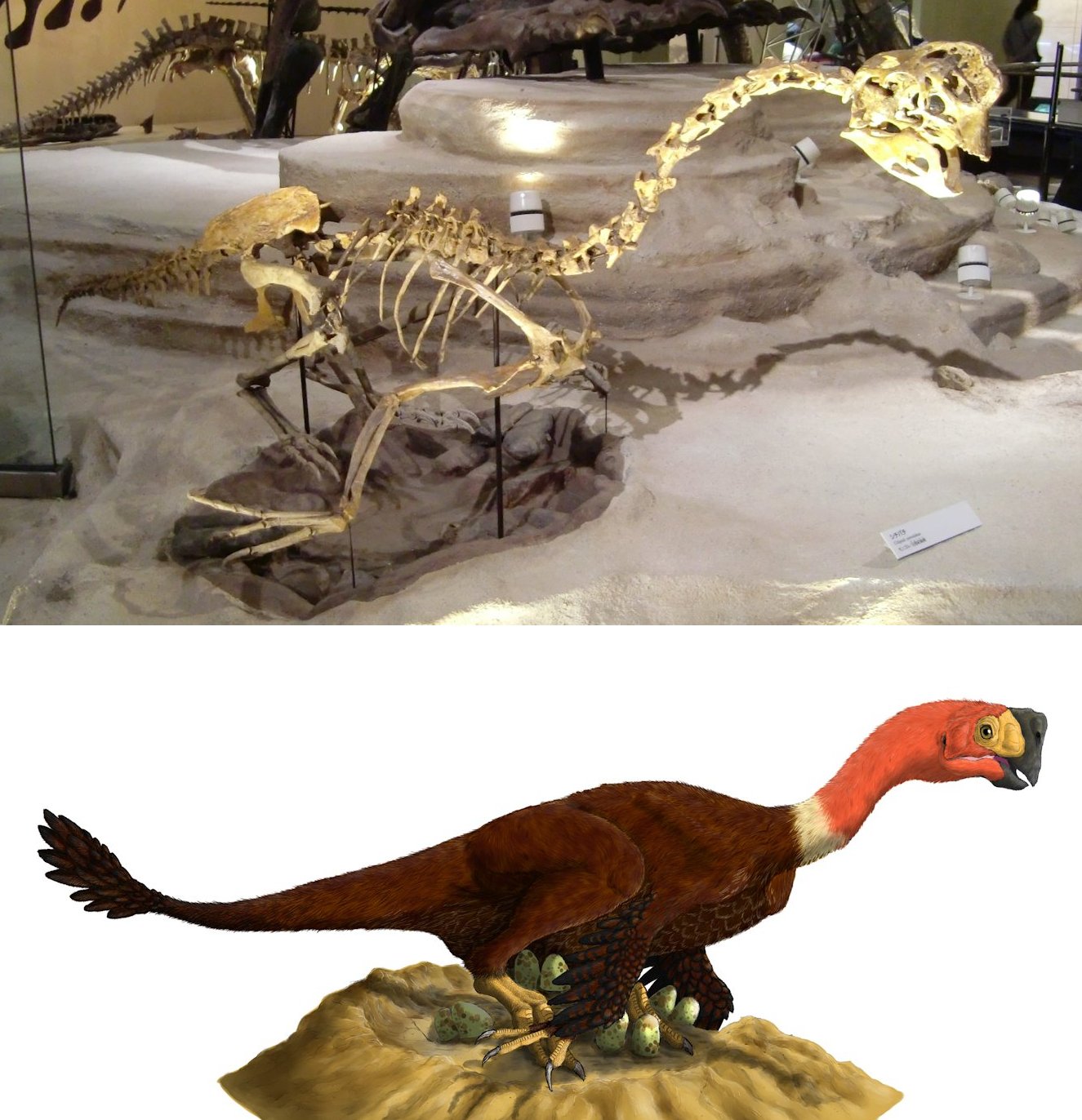 k-ta(けーた)_腰がジワっとイタイ系 on X: 