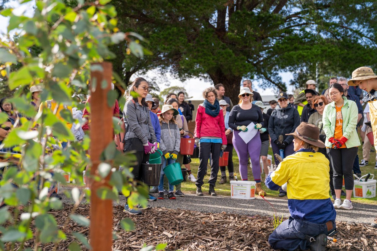 'Act Local, Contribute Global', a #WorldGreenCityAwards finalist, is an initiative for  #biodiversity conservation in the town of Victoria Park in Western Australia's south-west biodiversity hotspot. Full article: bit.ly/3OcMp6E 
@AIPHGlobal @townofvicpark @AIPHGreenCity