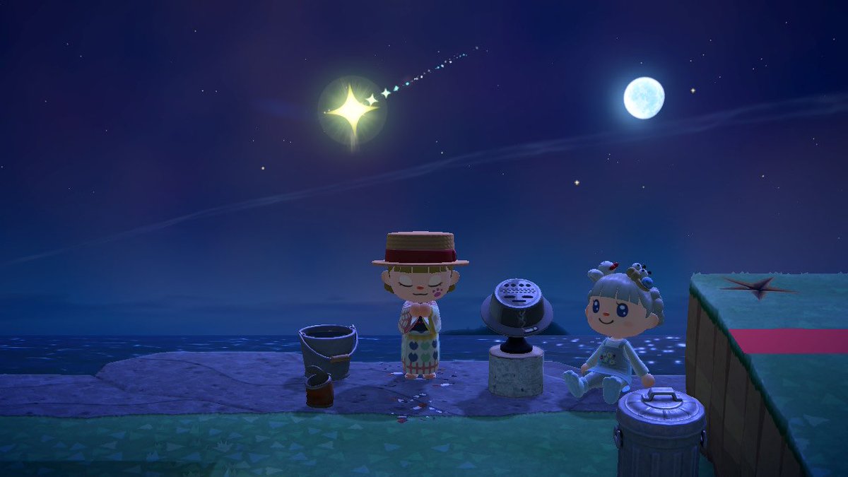 めっちゃ久しぶりにあつ森やったらサブ島が流星群の日だった🌟