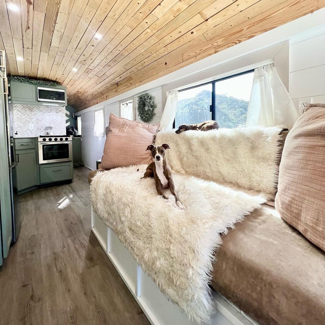 PawOriginal's tweet image. The PupProtector Waterproof Throw Blanket is an essential in any space 🚃 #convertedschoolbus