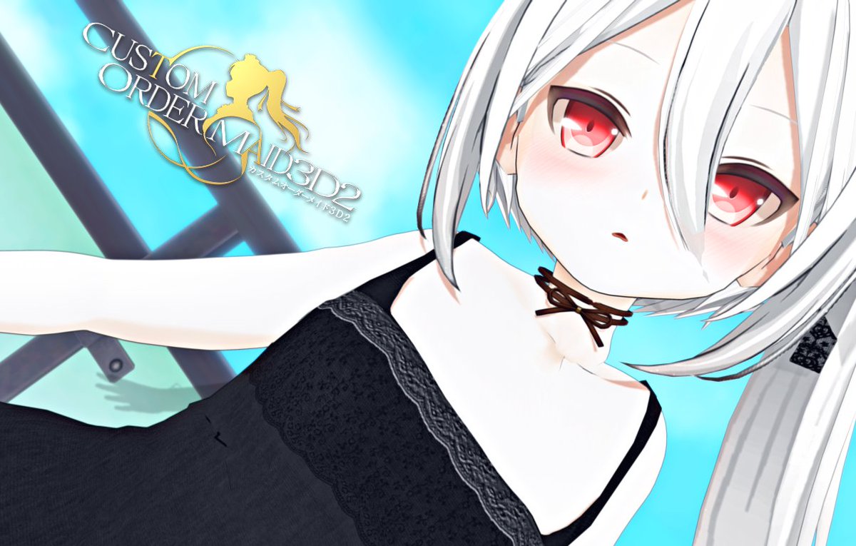 #COM3D2