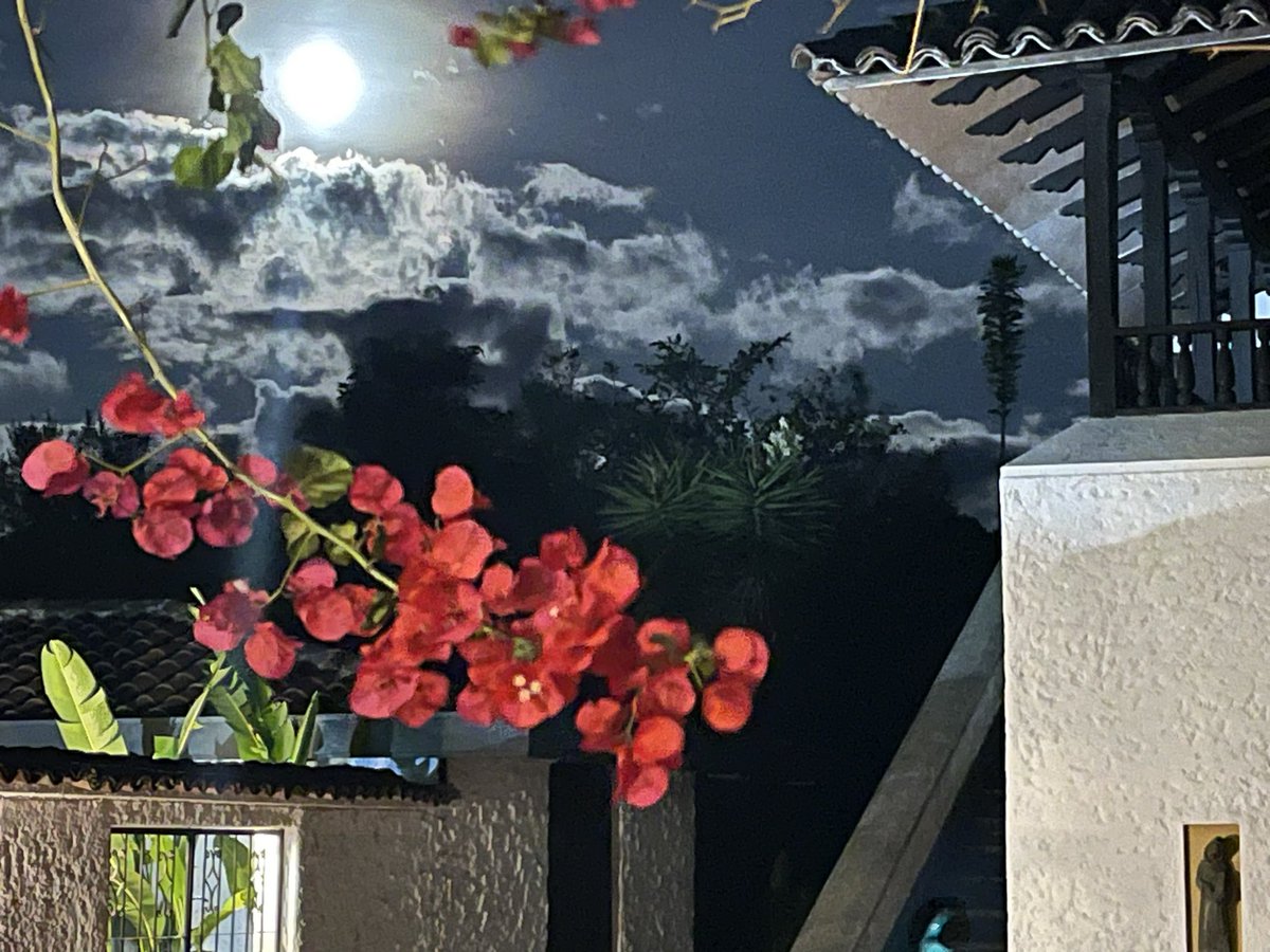 Noches de verano con luna llena en nuestro Hotel Hacienda Supracafé en Cajibio Cauca Colombia <a href="/supracafeesp/">SUPRACAFÉ</a>