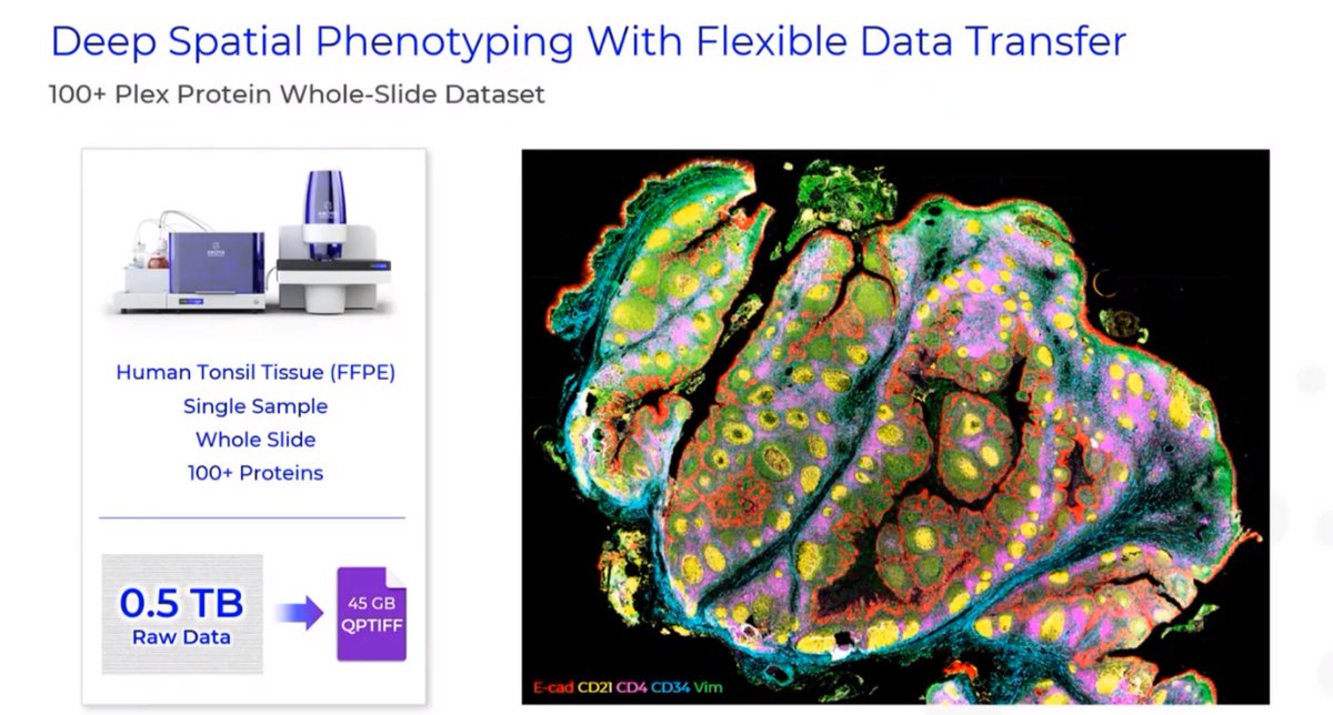 Want to hear about the various options for seamless data integration from #PhenoCyclerFusion images to actionable datasets? Explore the Akoya Analysis Ecosystem—including software partners that can be tailored to fit your analysis needs. bit.ly/44QiKqT #spatialbiology