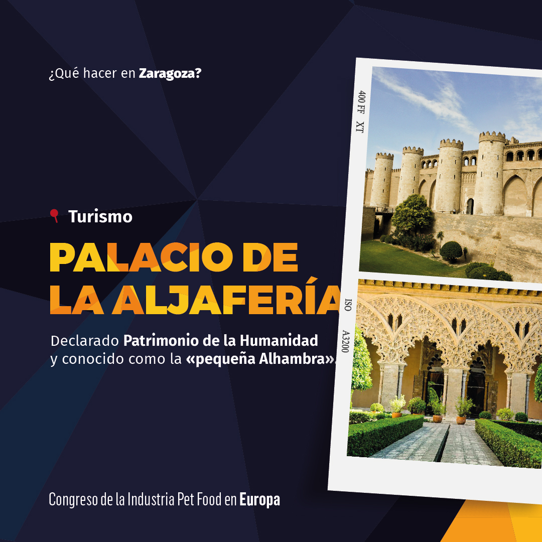 cipeu2023's tweet photo. ¡Zaragoza es el escenario perfecto para el desarrollo de CIPEU 2023! 🐾 Luego de explorar las últimas tendencias en la industria, no pueden perderse la oportunidad de descubrir los encantos de esta bella ciudad. 🙌

📆27 y 28 de septiembre
📍 @CongresosZgz 
 
#evento #Congreso https://t.co/KEBassecUG