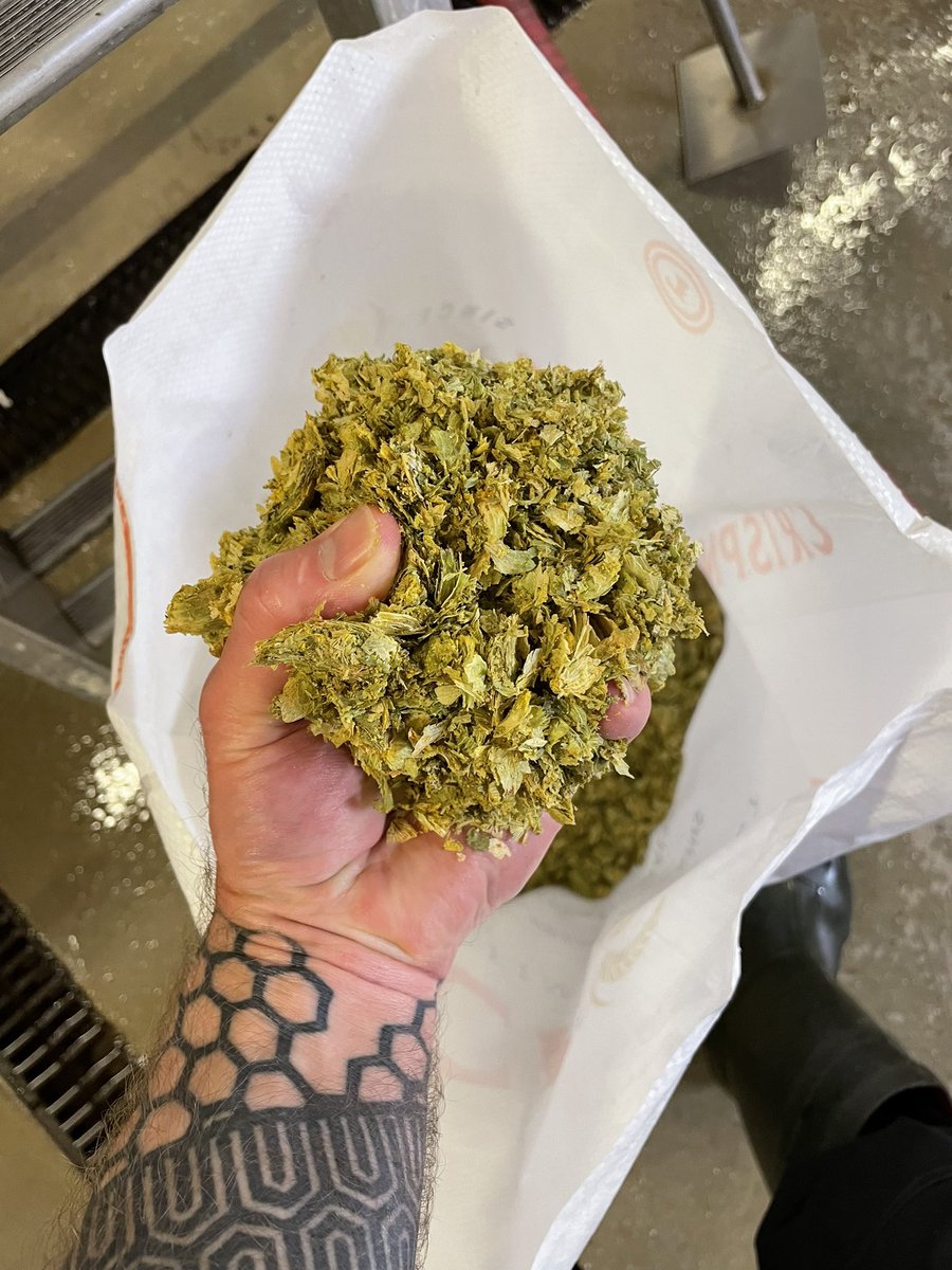 WishboneBrewery tweet media