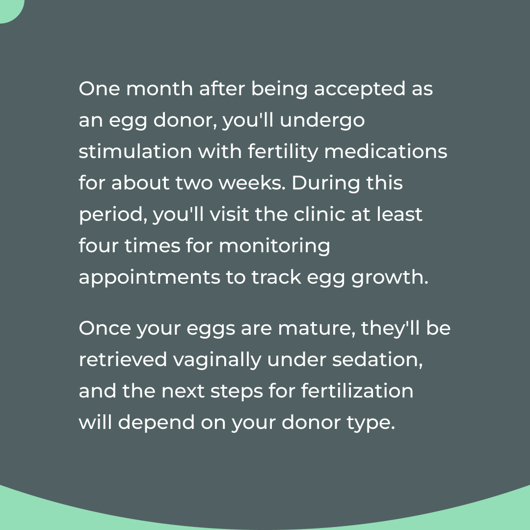A common question potential donors ask is what the process is like and how long it will take. We've got you covered! Learn more: bit.ly/2VxCukh

#eggdonation #eggdonor #myeggbank
