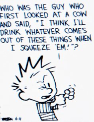 Calvin and Hobbes Fan Account tweet media