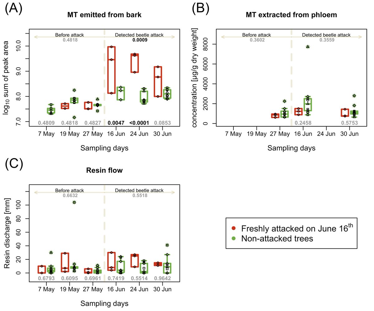EcologyInsects's tweet photo. New article from our group: Physiological and biochemical changes in Norway spruces freshly infested by Ips typographus as tools for early detection methodologies. https://t.co/0x3djcZ08P https://t.co/OA2LuDpKum