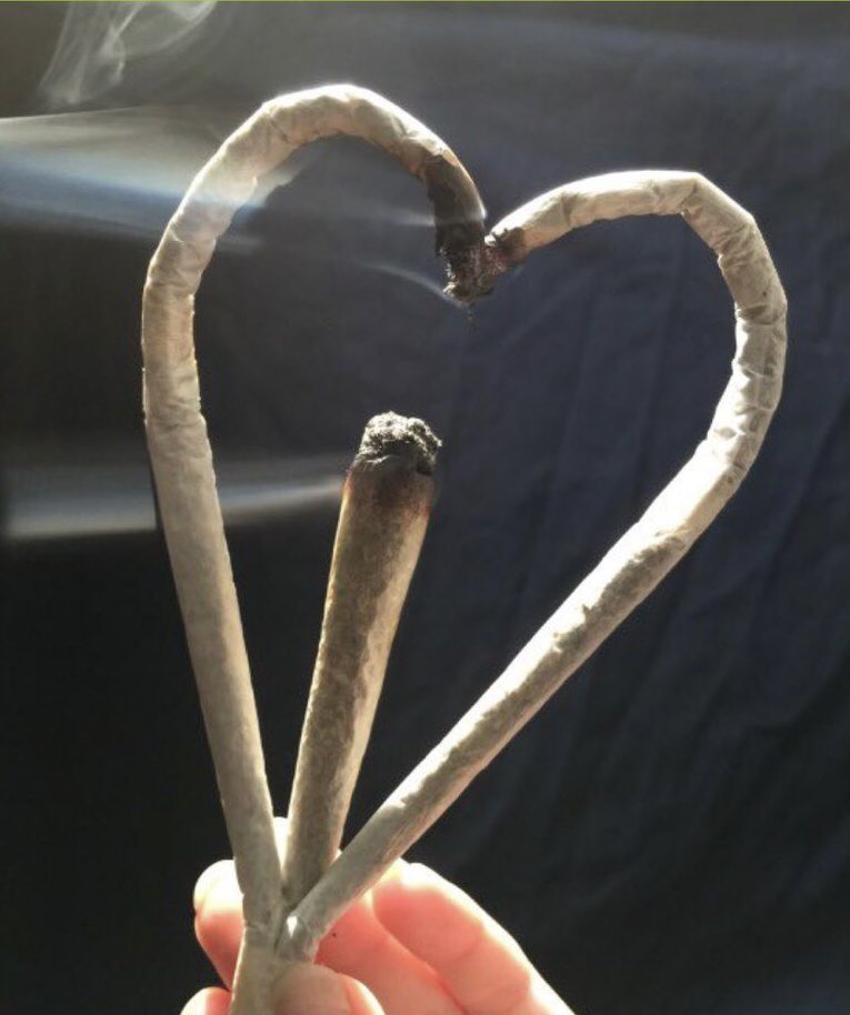 revistaTHC's tweet photo. El amor se demuestra con acciones.
💚 Yo demostrando mi amor: https://t.co/nmkxD0pCRS