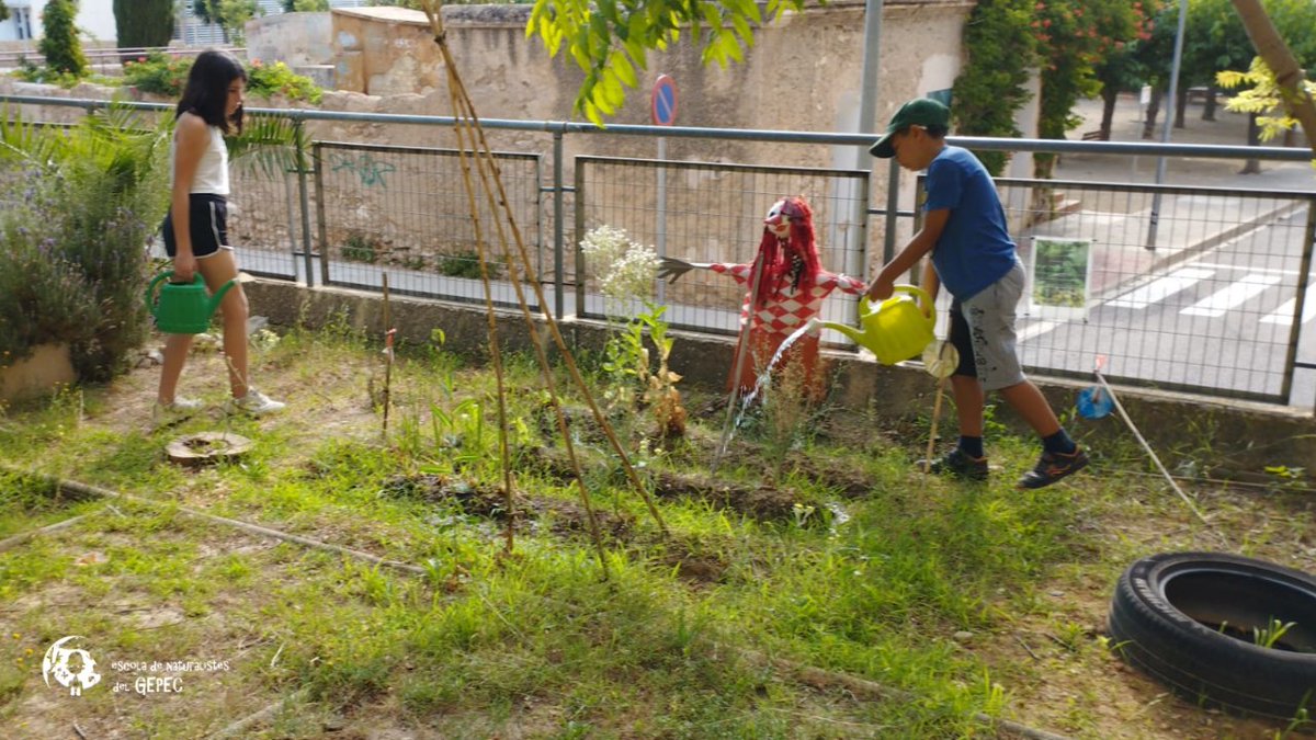 gepecedc's tweet photo. Un juliol molt intens a l'escola de Naturalistes del GEPEC-EdC. Més d'una cinquantena d'infants🤸 han participat dels campus de #Roquetes i el #Canyadell realitzant activitats molt variades relacionades amb la natura🌱 i l’entorn.
👉https://t.co/YGRuE3mRsg

 #gepec #campusdestiu https://t.co/t8VjFCShSj