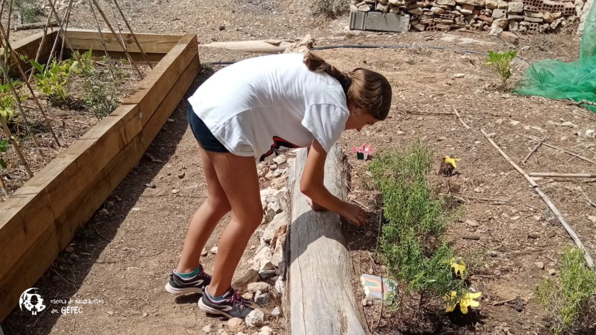 gepecedc's tweet photo. Un juliol molt intens a l'escola de Naturalistes del GEPEC-EdC. Més d'una cinquantena d'infants🤸 han participat dels campus de #Roquetes i el #Canyadell realitzant activitats molt variades relacionades amb la natura🌱 i l’entorn.
👉https://t.co/YGRuE3mRsg

 #gepec #campusdestiu https://t.co/t8VjFCShSj
