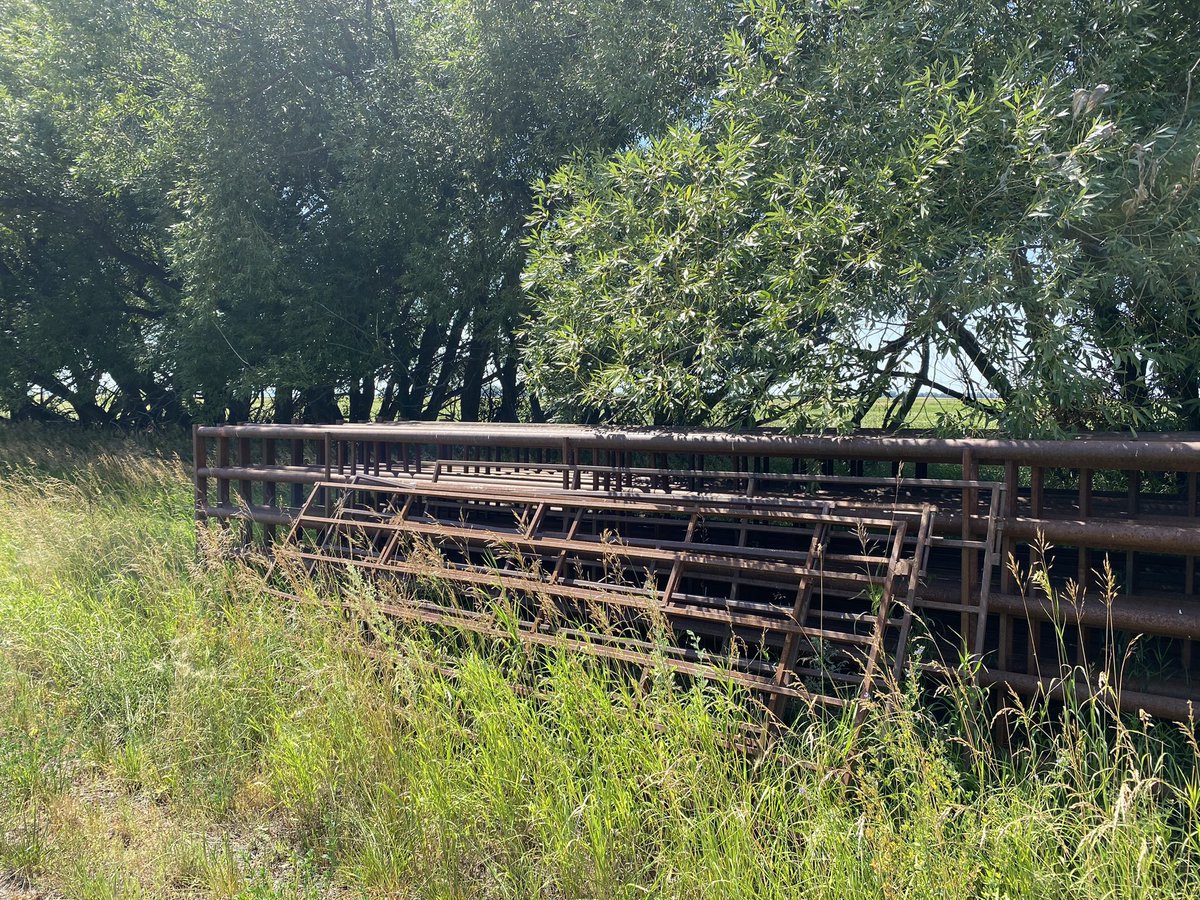 hodgy39's tweet photo. We have some livestock equipment left over we have finally organized.  12 - 30 foot panels. Made in Virden at Strike Welding.  Oil field pipe, heavy duty panels.  Chains both ends.  900$ OBO per panel.  Hardly used; used for crowding pens only. Call/text 204-851-0131 🐄🐄🌽🌽 https://t.co/fa1m2jTJPj