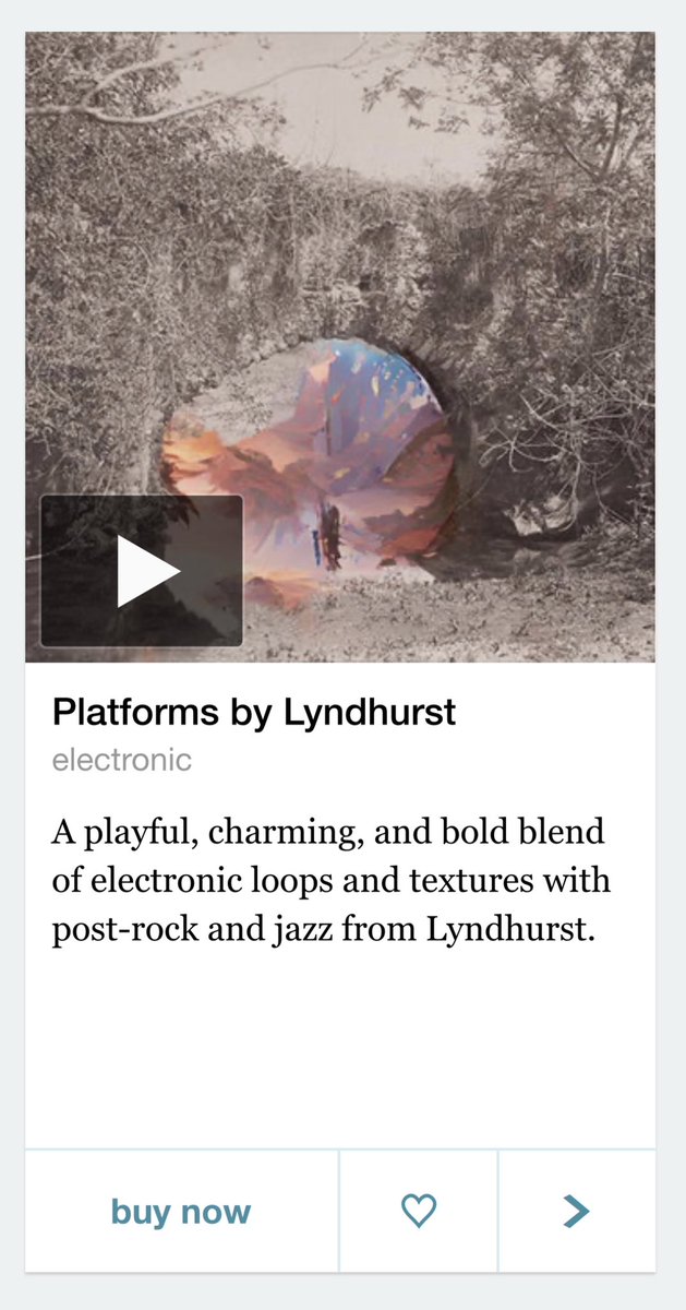 Lyndhurst tweet media