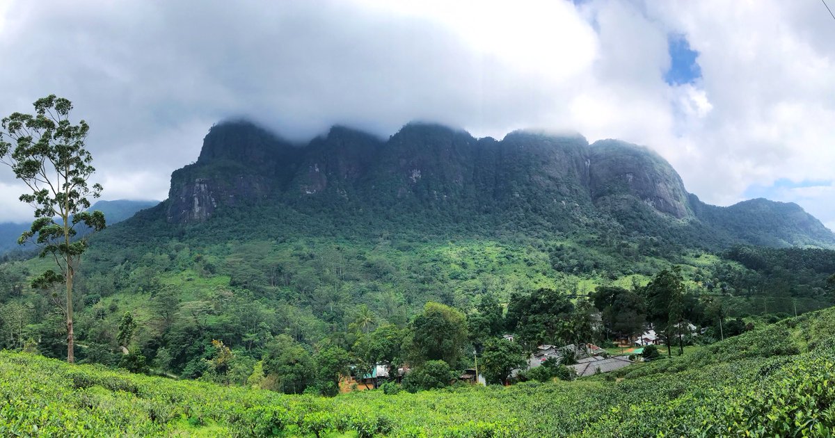 dasith_kemil's tweet photo. සප්ත කන්‍යා කඳු වැටිය 😇💚🇱🇰❤️
#sapthakanya_mountain_range #sapthakanya #landscape #landscapephotography #mobilephotography #dasithkemil #beautyofnature #visitsrilanka #srilanka https://t.co/4qAugG1gn8