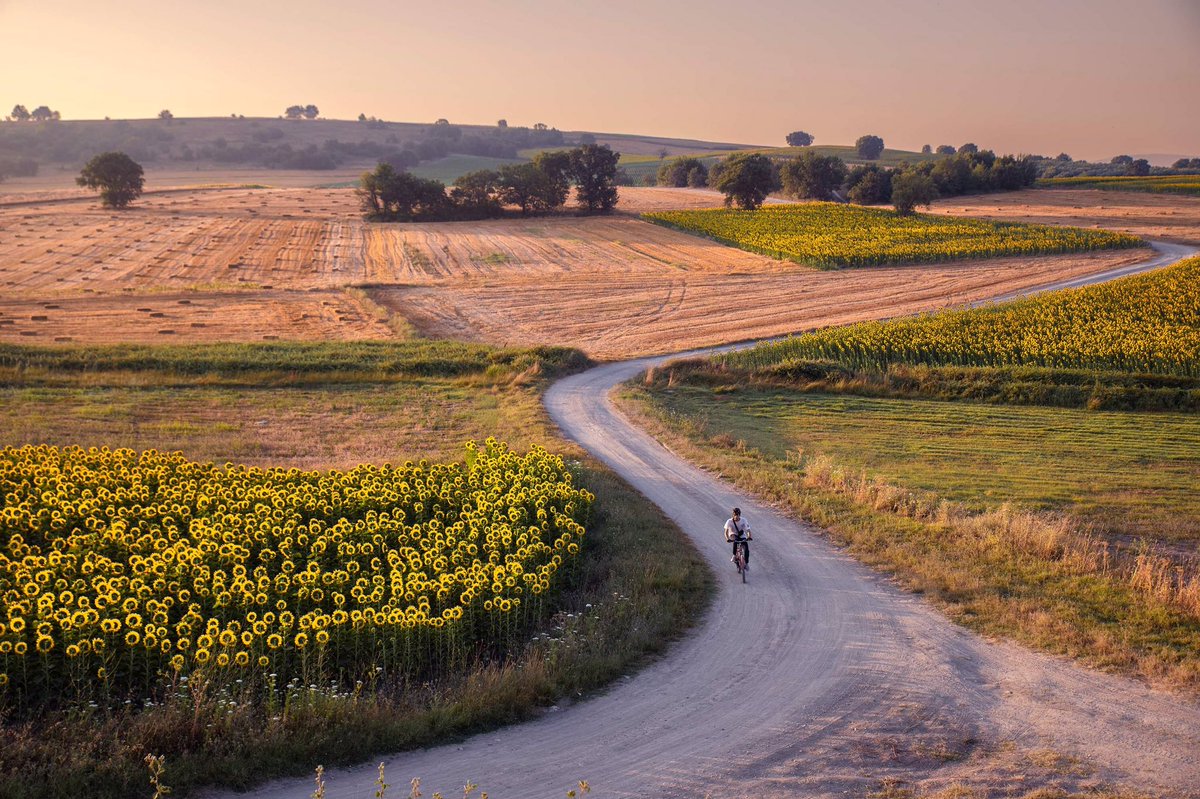 Aygül Harmancı ᴺᶠᵀ (@aygulharmanci) on Twitter photo 