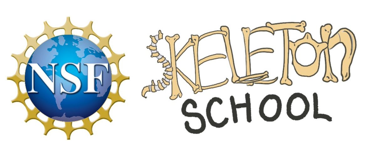 OhioStateBME's tweet image. Dr. Devina Purmessur Walter uses her CAREER award to start Skeleton School, an outreach program that teaches preschool age children how the muscular skeletal system works while instilling curiosity about science, medicine and engineering. Read more here go.osu.edu/CcBN