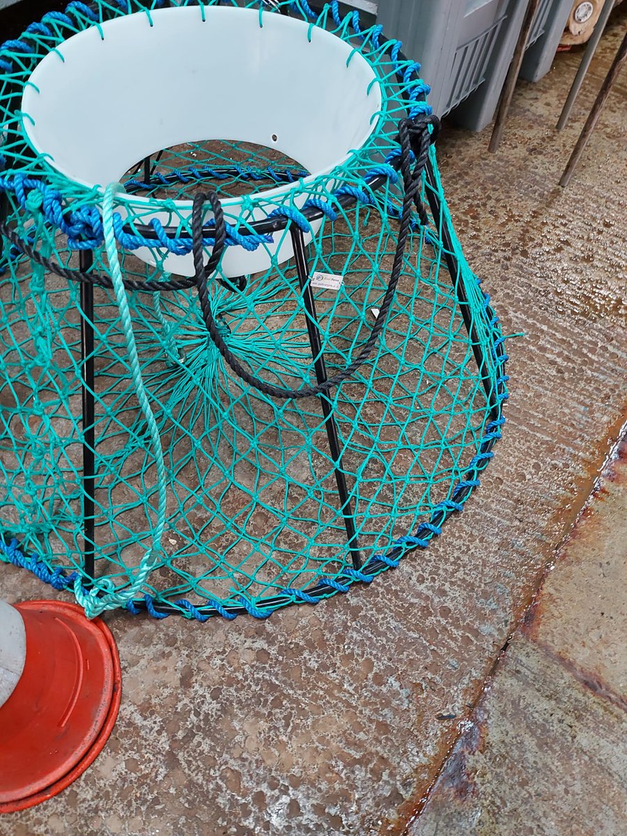 wharveyandsons's tweet photo. You see all sorts of lovely snippets of colours down at the tanks! This is a pot designed to catch Alaskan King Crab. A few boats trialed them for Spider Crab this year but they had mixed results 🌊#wharveyandsons #freshshellfish #fishing #newlyn #cornwall https://t.co/HDaSAiAbk7