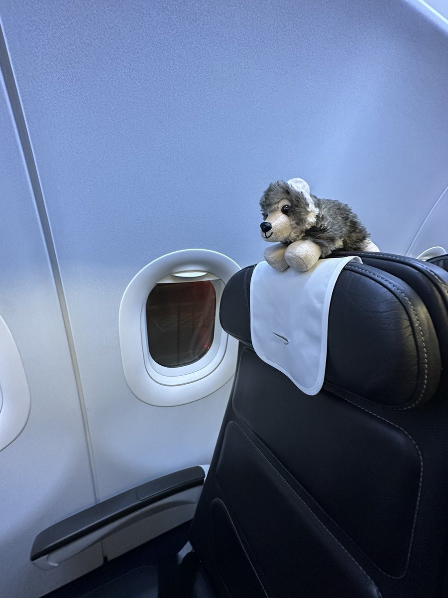Josh (@thatsillyginge) on Twitter photo PLEASE SHARE:
This little chap was left on the <a href="/British_Airways/">British Airways</a> BA813 from Copenhagen (CPH) to Heathrow (LHR) yesterday (2nd August). They spent the rest of the day helping our crew with their work, but somebody out there will be missing them, so we need to reunite them! PLEASE SHARE:
This little chap was left on the <a href="/British_Airways/">British Airways</a> BA813 from Copenhagen (CPH) to Heathrow (LHR) yesterday (2nd August). They spent the rest of the day helping our crew with their work, but somebody out there will be missing them, so we need to reunite them!
