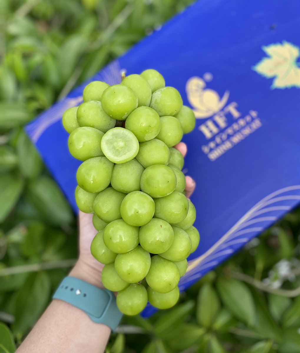Grace premium fruit tweet media