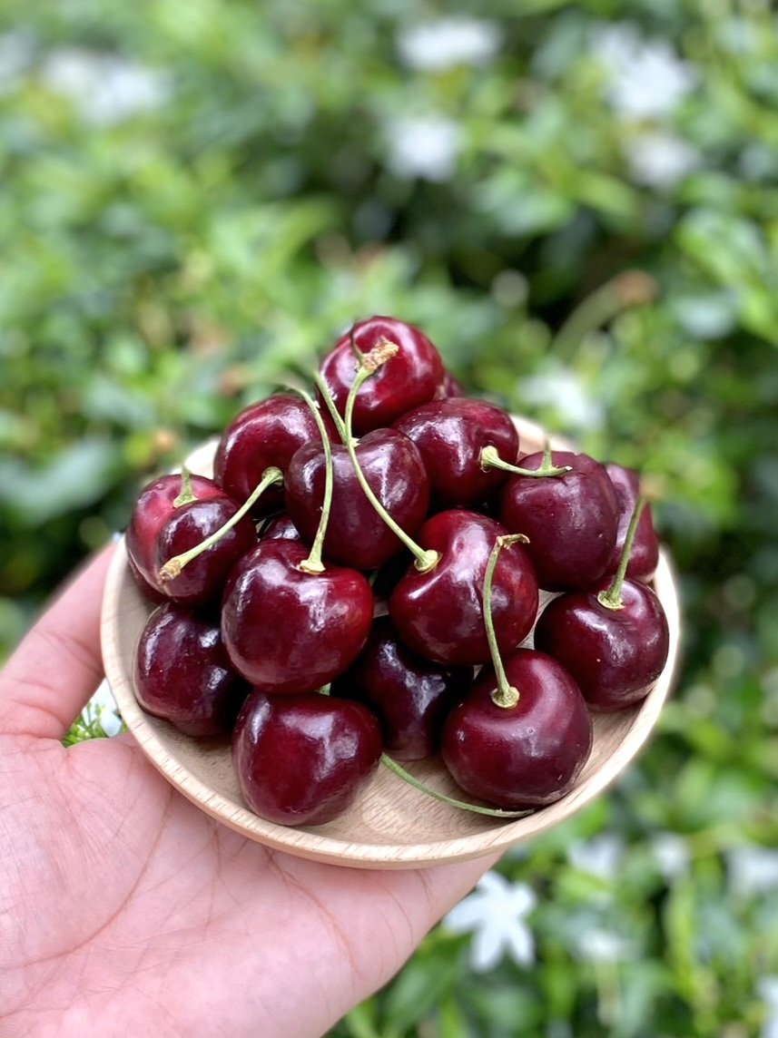 Grace premium fruit tweet media