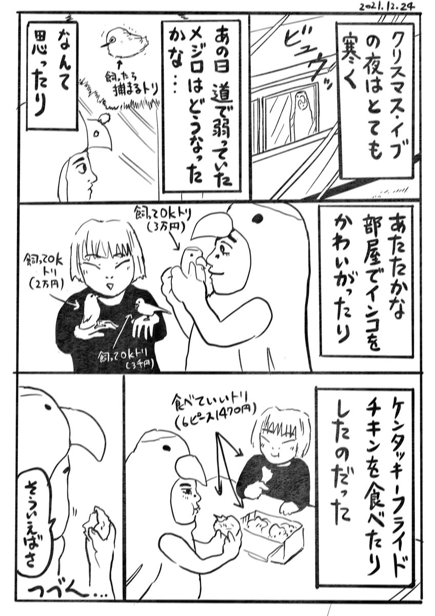 傷ついた鳥が現れる2/2 