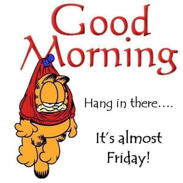MarkRoc87454440's tweet photo. Good morning, everyone. Have a fantastic Thursday 🥳 https://t.co/MbfwKdfv8O