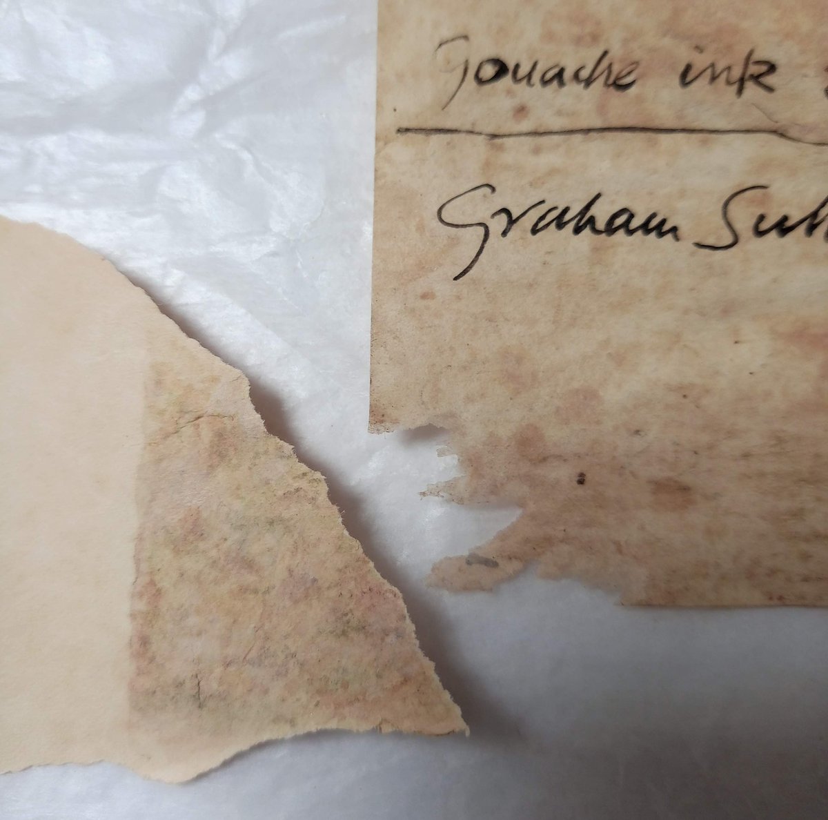 LaliNickels's tweet image. The infill is toned with watercolour then shaped to fit the missing area.  It is supported from behind with tissue and attached using wheat starch paste.  #BeforeAndAfter #PaperConservation