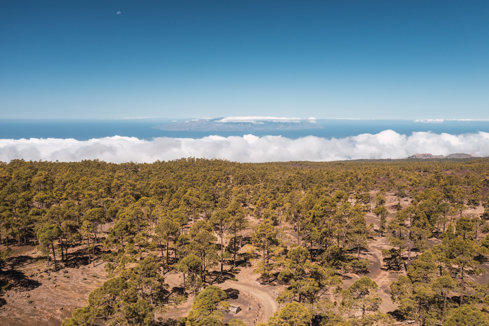 visitguia_isora's tweet photo. 🌊Como una ola rompiendo en la orilla.

☁️El mar de nubes es un impresionante efecto natural creado por los vientos #alisios que empujan a las nubes contra las montañas del norte de la isla 💨

#visitguiadeisora #caracternatural #coronaforestal  #mardenubes #naturaleza #tenerife https://t.co/S5urbRiziQ