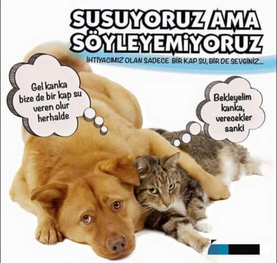 #BirKapSuBirKapMama #Sıcak #YaşamakHerCanlınınHakkıdır