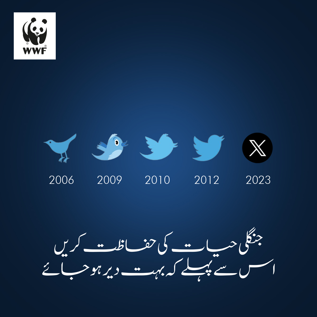 آج، پرندوں کی آٹھ میں سے ایک نسل معدوم ہونے کے خطرے سے دوچار ہے۔  ہم انہیں اور ان کے مسکن کو بچا سکتے ہیں-