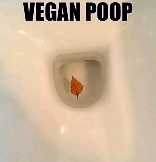 Tholingomdir's tweet photo. Nothing worse than being in the stall at the Loves and your neighbor sounds like he's giving birth to a TRex 🤣
#veganfood #Vegan #Memes #MemeContest #Tweet https://t.co/9UauVKqVPc