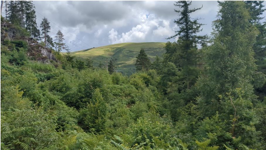 PBS Utility Services Ltd tweet media