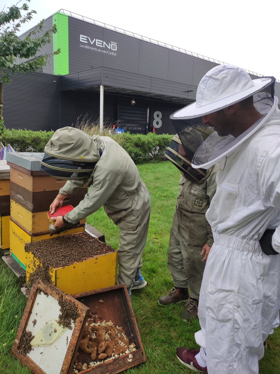 eveno_f's tweet photo. 🐝🐝[ Récolte de miel ]

🌻🌷Récolte du miel sur le site d’EVENO FERMETURES 1er août !

🧺🧺90 kg

Merci à Gweltaz NADAN de https://t.co/8M1JFLs8ny de partager son savoir sur les abeilles et sur le métier d’apiculteur.

#miel #ruche #eveno #recolte #abeille https://t.co/yRrEuNJMEo