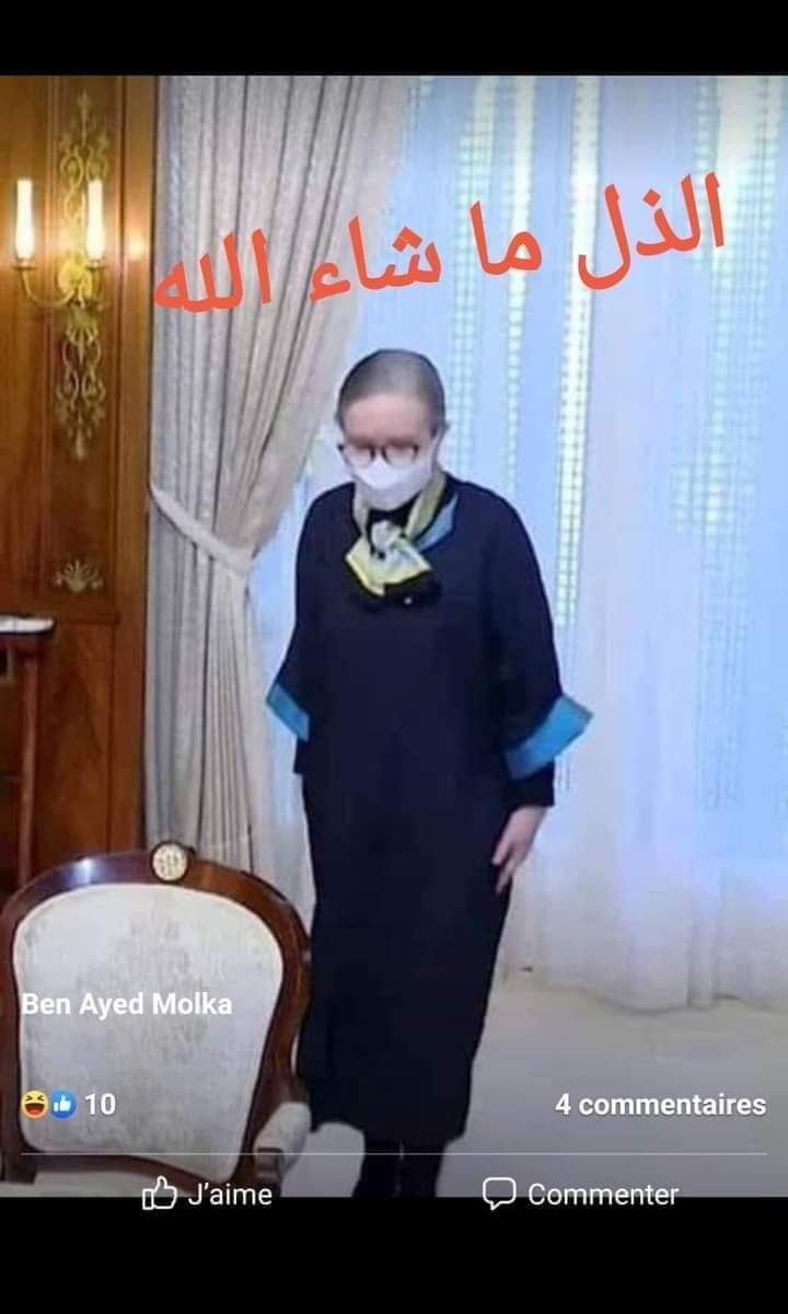 عمر قلح tweet media