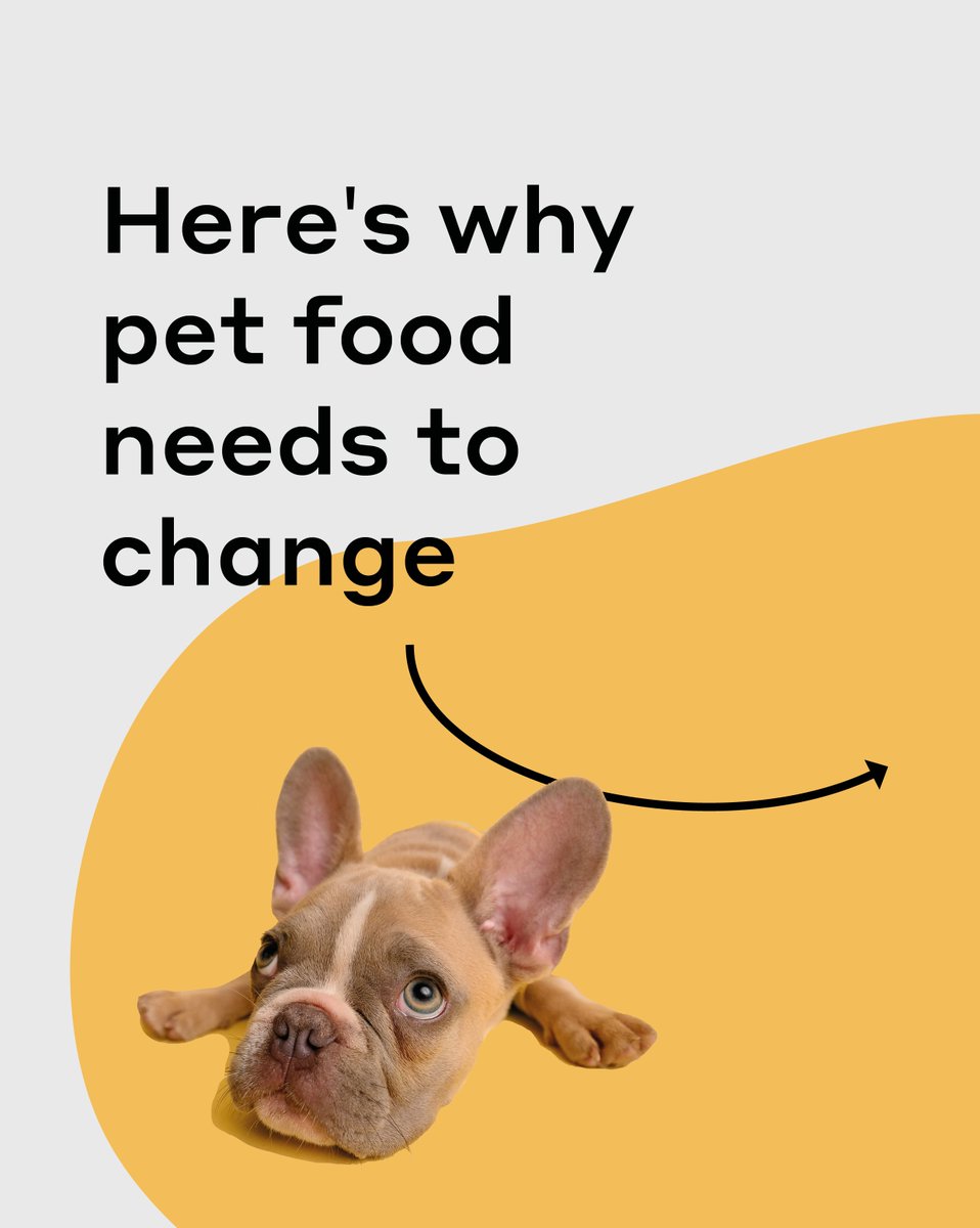 Better Origin tweet media