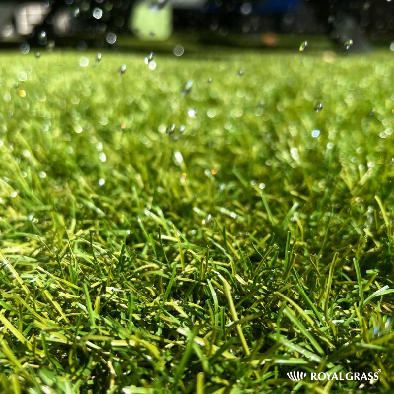 With Royal Grass® #artificialgrass you can have a beautiful green lawn all year round. Our installers ensure top quality substructure is in place and drainage of rain water is a priority. ☔️
 
View your nearest dealer here:
royalgrass.co.uk/dealers/

#UKsummer #GardenMakeover