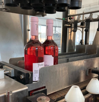 Bodegas_Protos's tweet photo. La nueva bodega de D.O. Cigales en Cubillas de Santa Marta a toda marcha produciendo Aire de Protos y Protos Clarete. 💖 🍷
#rosado #DOCigales #vinorosado #Protos #bodegasprotos #vino #vinoProtos #wine #wineProtos https://t.co/v9pcwqps61