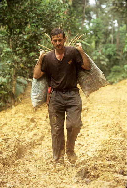 Recordando Alwyn Gentry.

Hace 30 años, este prominente y universalmente querido colega se perdió en un accidente aéreo.
Entre tantas contribuciones maravillosas la guía para identificar plantas leñosas de América del Sur.

Nadie ha contribuido como Gentry en sus 48 cortos años.