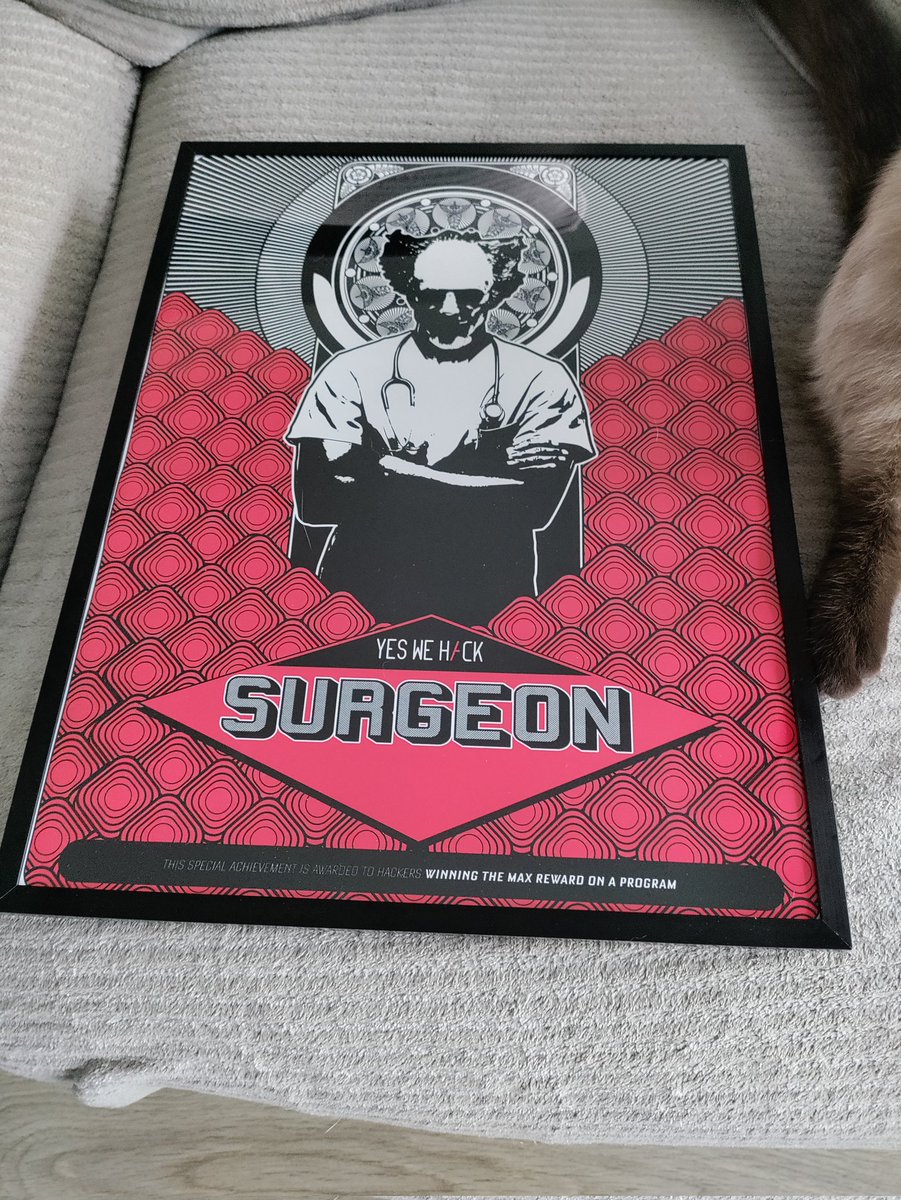 Thanks <a href="/yeswehack/">YesWeHack ⠵</a> for the poster 😁